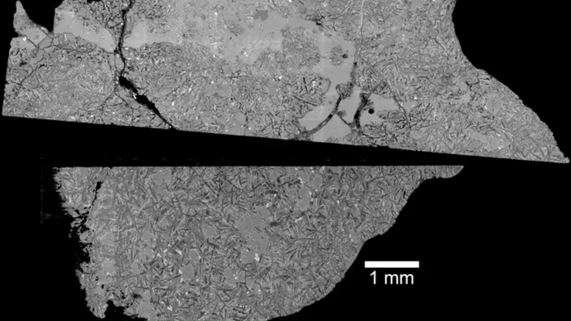 Two halves of a gray moon rock in front of a black background