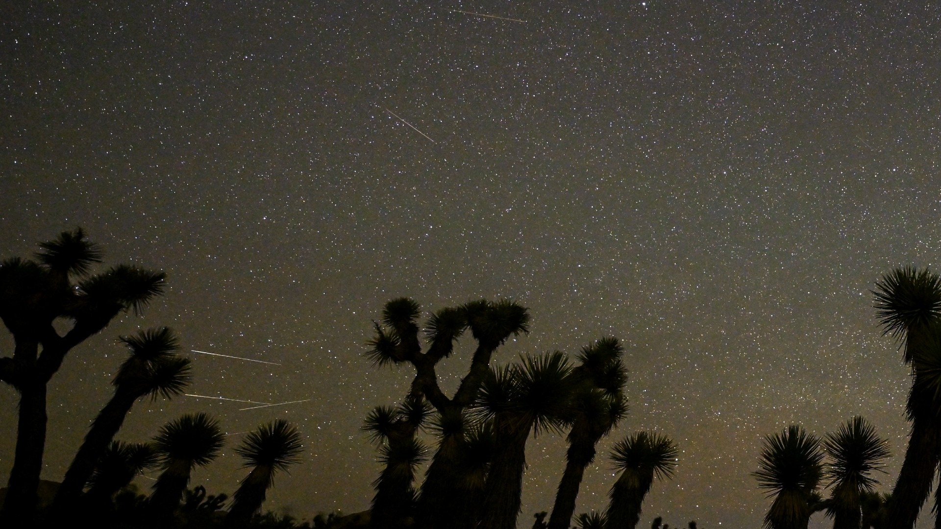 streaks of light race across a starry night sky