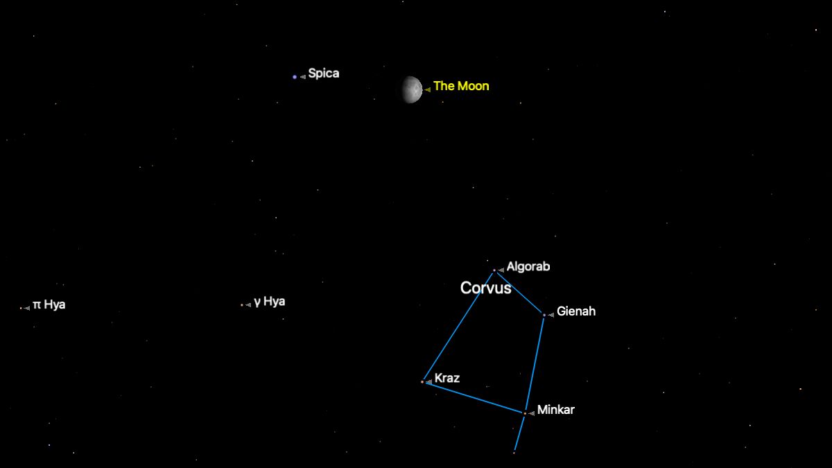 The moon is pictured close to the bright star Spica on the night of June 5, with the stars of the constellation Corvus positioned beneath, joined by a blue line.