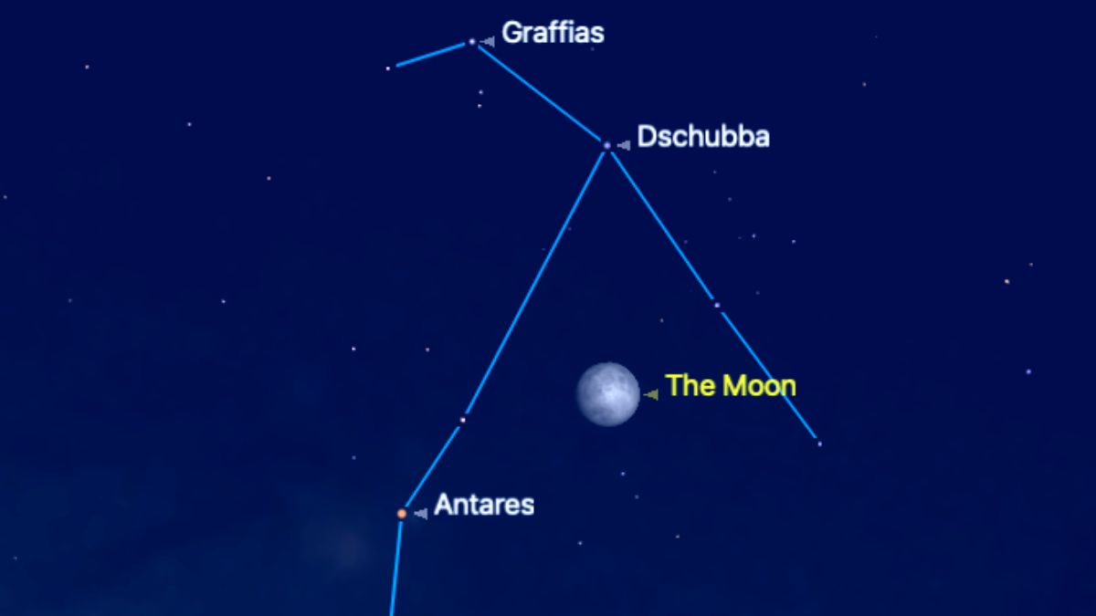 The position of the moon is shown close to the bright star Antares in a simulation of the night sky for June 9. Antares is pictured close to the lower left of the moon, with the bright stars Graffias and Dschubba above, labelled. The other stars of the constellation Scorpius are connected by a blue line.