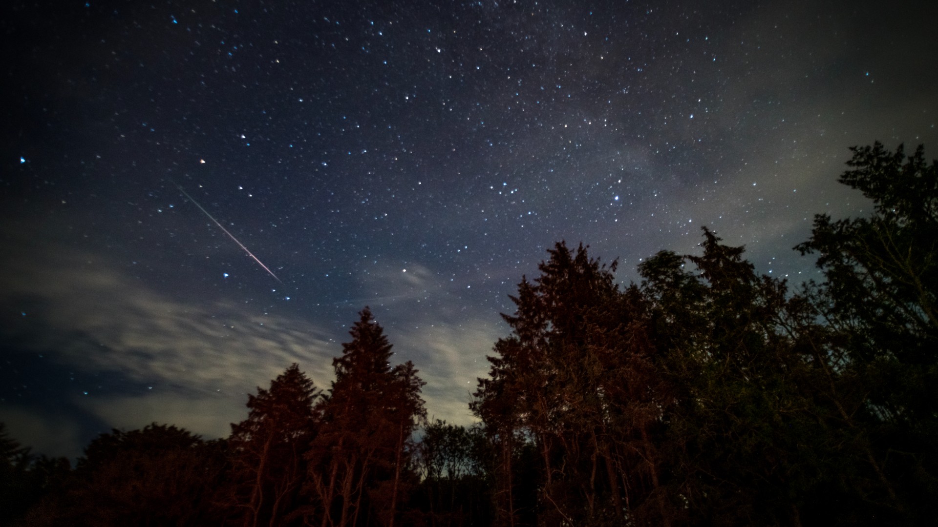 A meteor is pictured streaking through a starry night sky, as aurora frame a dark treeline at the bottom of the image.