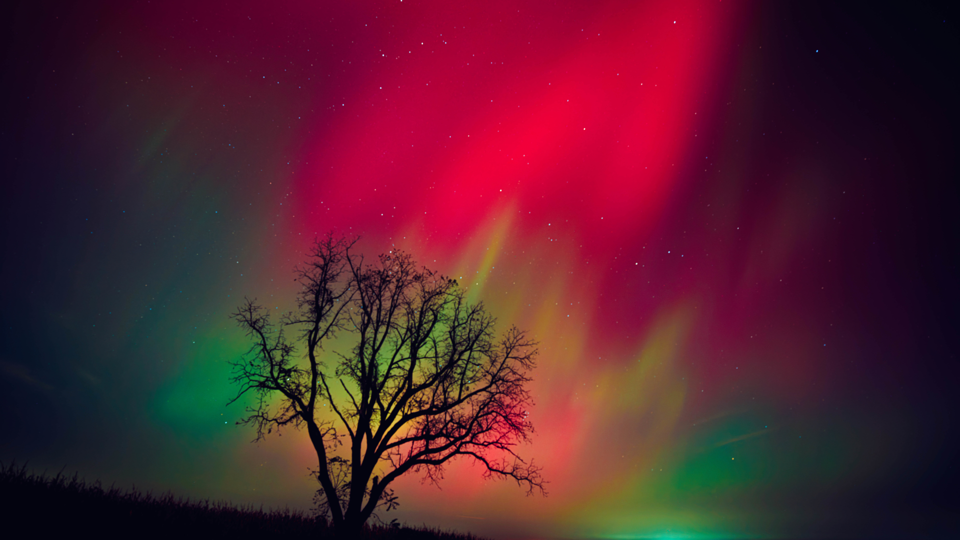 The night sky in Wisconsin glows with the Northern Lights as a geomagnetic storm brings vibrant pink and green colors to a majority of the northern states.