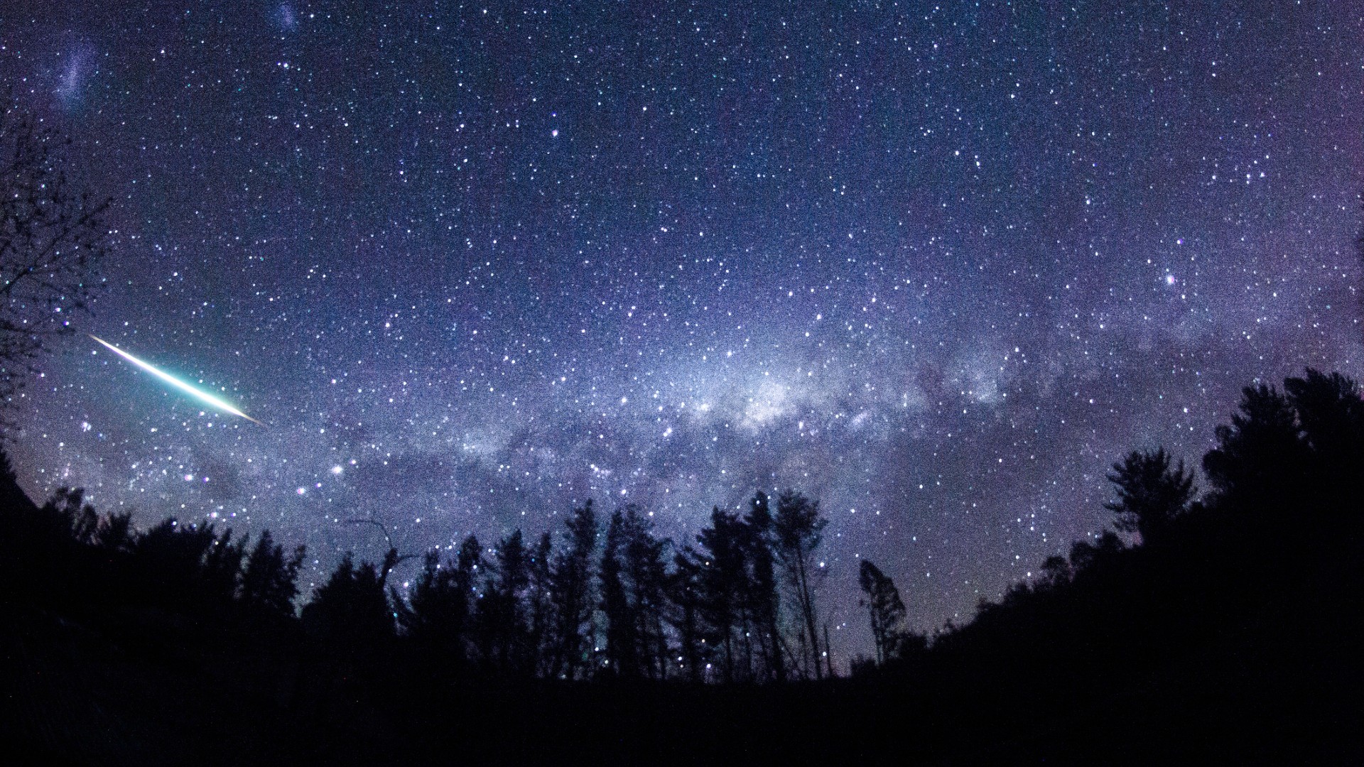 a streak of white light crosses a starry sky above silhouettes of tall evergreen trees