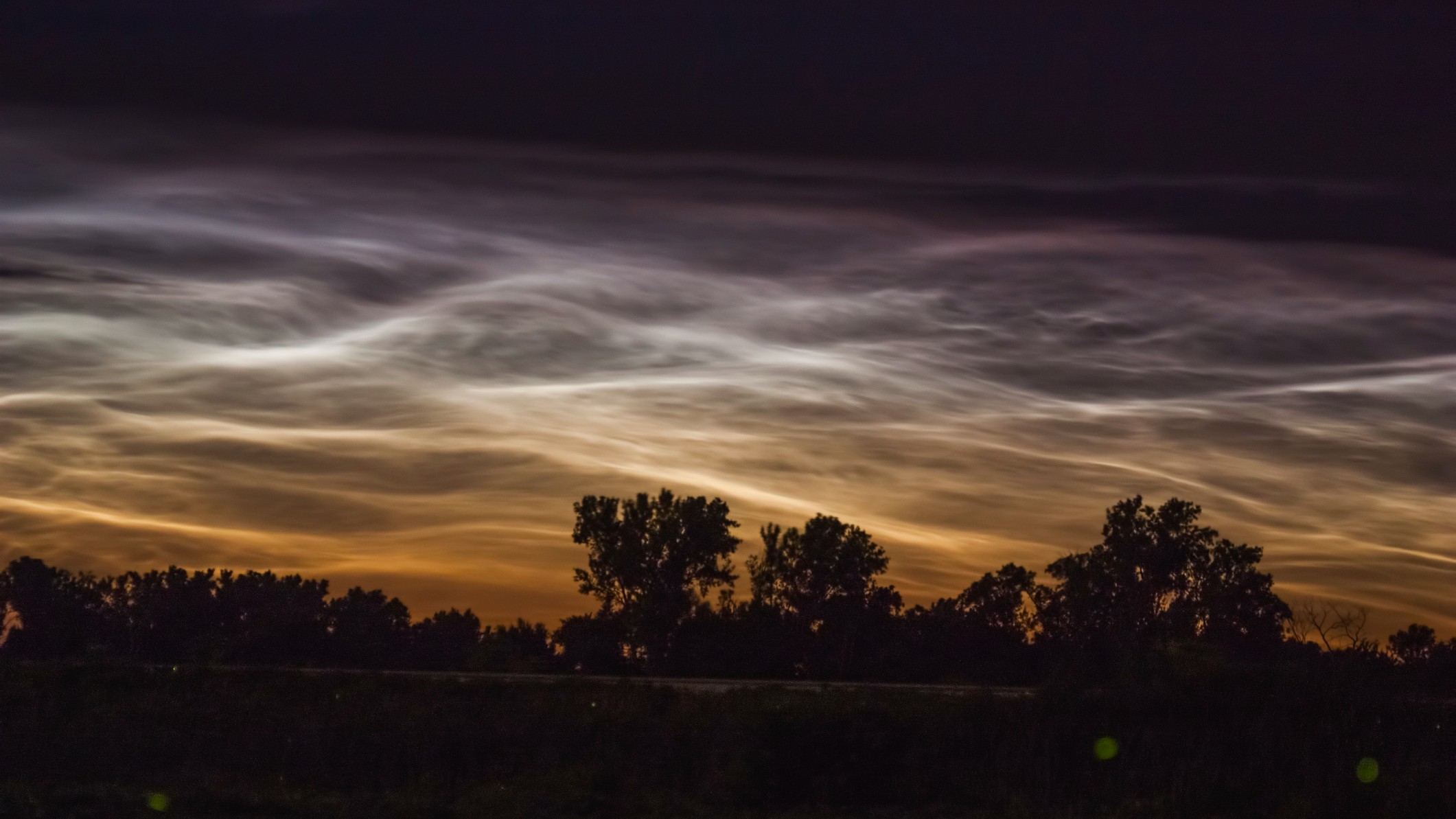 high-alitude noctilucent clouds can be seen shining in the night sky above a silhouetted treeline.