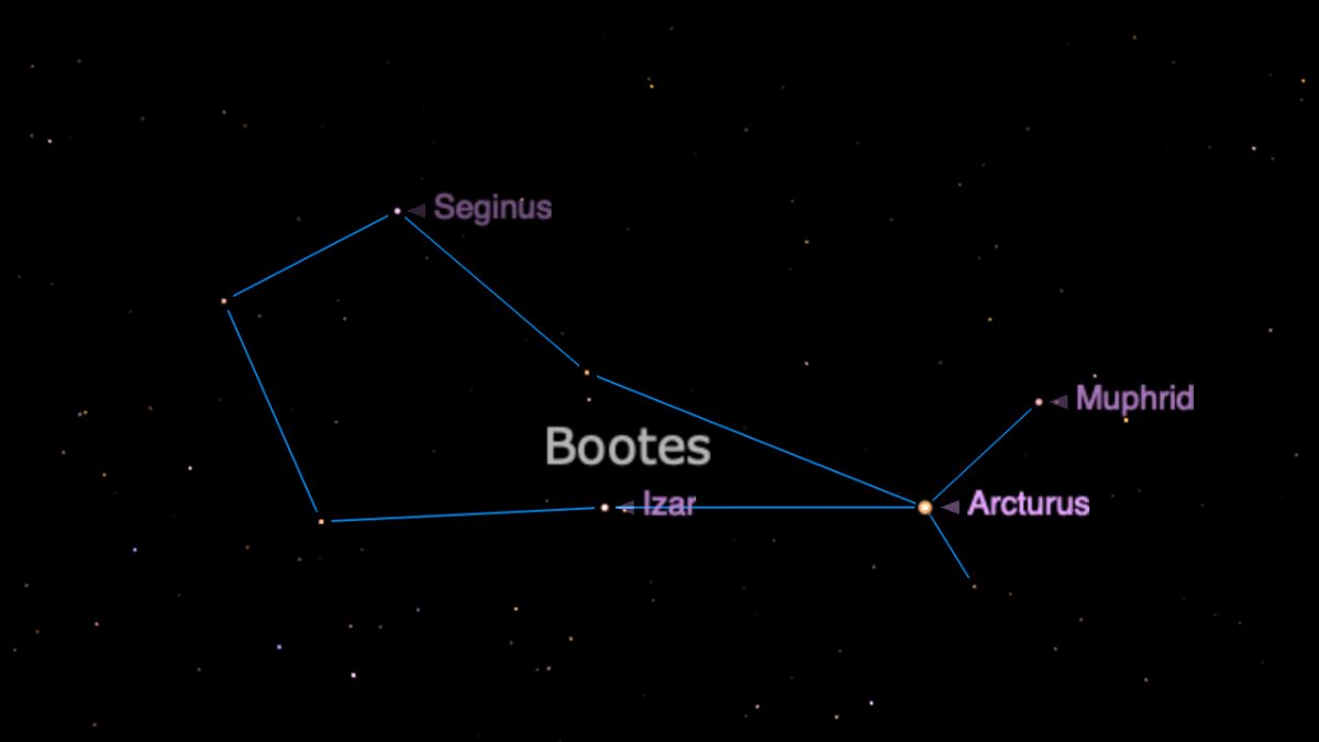 A star chart showing the constellation Bootes outlined in blue. The location of the eight stars that make the constellation are shown as bright points of light, and the prominent stars Arcturus, Muphrid, Seginus, and Izar labelled by name.