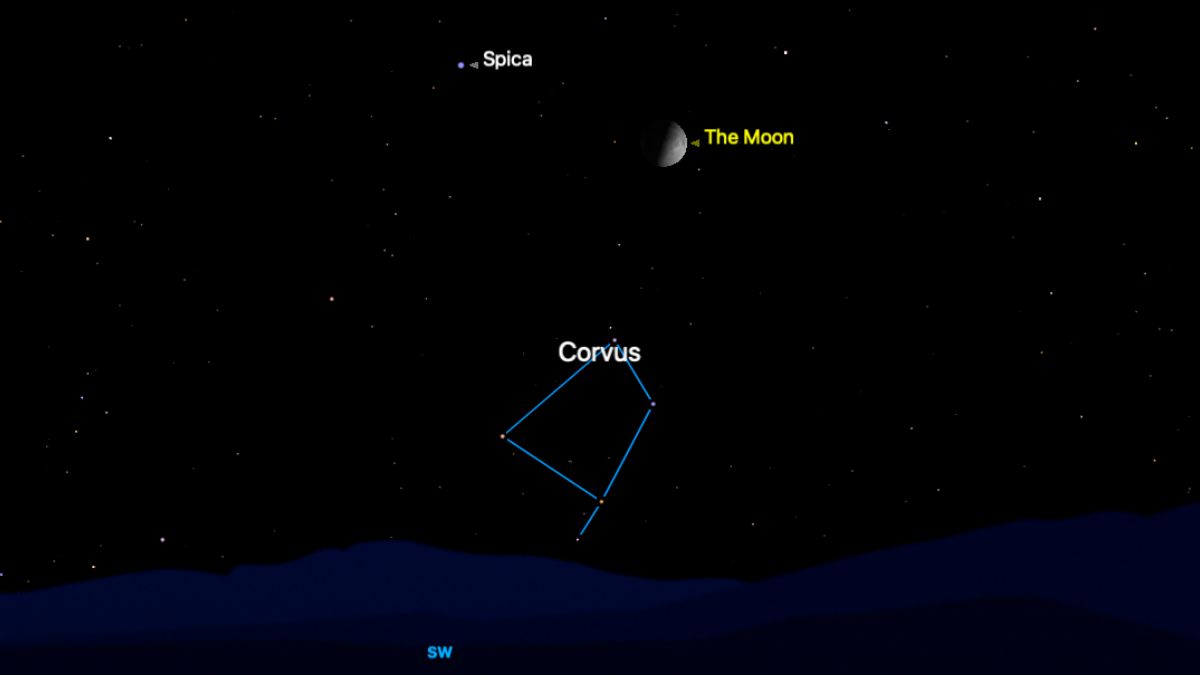 The location of the half-lit first quarter moon is shown on July 2 in a simulated night sky. The bright star Spica is visible to its upper left, with the stars of the constellation Corvus joined by a blue line below the pair, close to the southwestern horizon.