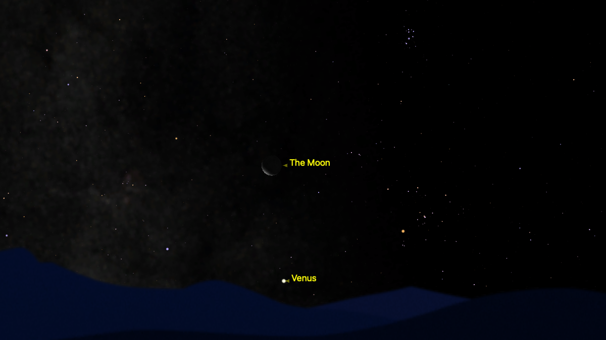 A graphic showing the night sky on July 21, with Venus positioned close to the horizon and the slender form of the crescent moon above it, shining close to a number of bright stars.