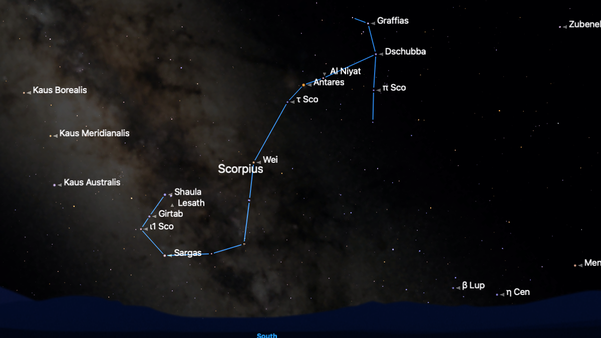A simulation of the night sky for July 14, showing the positions of prominent stars close to the constellation Scorpius, the stars of which are connected by a blue line. The bright band of the Milky Way is visible passing through the tail of the scorpion.
