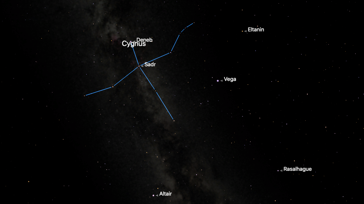 A simulation of the night sky is shown for July 18, showing the Milky Way running through the stars of the constellation Cygnus, which are connected by a blue line. The bright star Altair is labelled below, while Vega, Eltanin and Rasalhague are to the right.